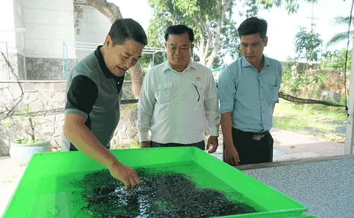 Ðẩy mạnh phong trào thi đua “Cựu chiến binh gương mẫu”