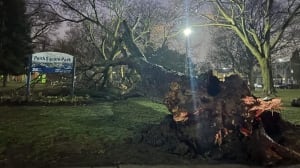 Spring storm brings rain and gusty winds to GTA