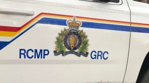 Human remains found in wooded area near St. George's: RCMP