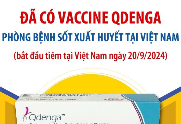 Đã có vaccine Qdenga phòng bệnh sốt xuất huyết tại Việt Nam