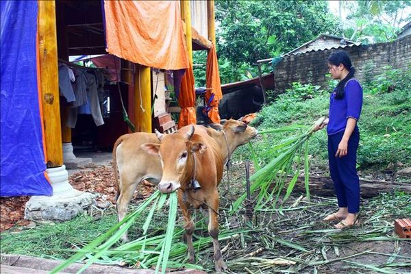 Nghệ An: Tháo gỡ khó khăn trong thực hiện chương trình giảm nghèo