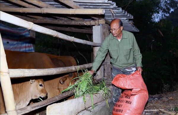 Phát huy vai trò "cầu nối" giữa cấp ủy, chính quyền với nhân dân