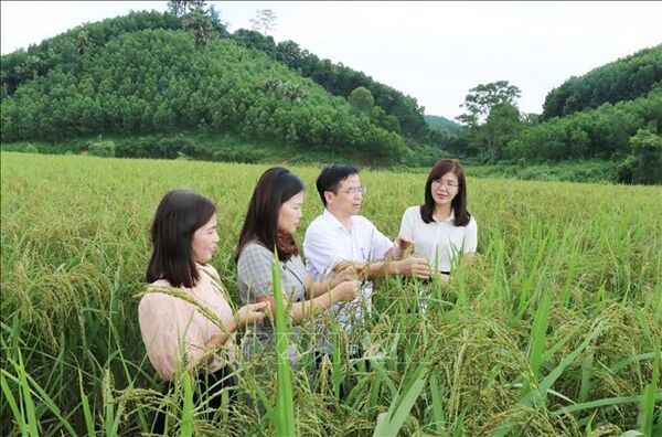 Chuyển biến tích cực trong thực hiện xây dựng nông thôn mới