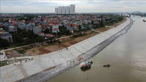 Tăng cường công tác tuần tra canh gác, đảm bảo an toàn đê điều