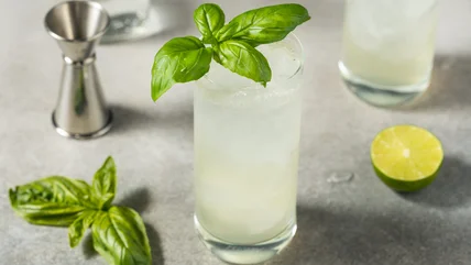 Không có gì. Thử Basil để lại trong chiếc Mojito kế tiếp của bạn