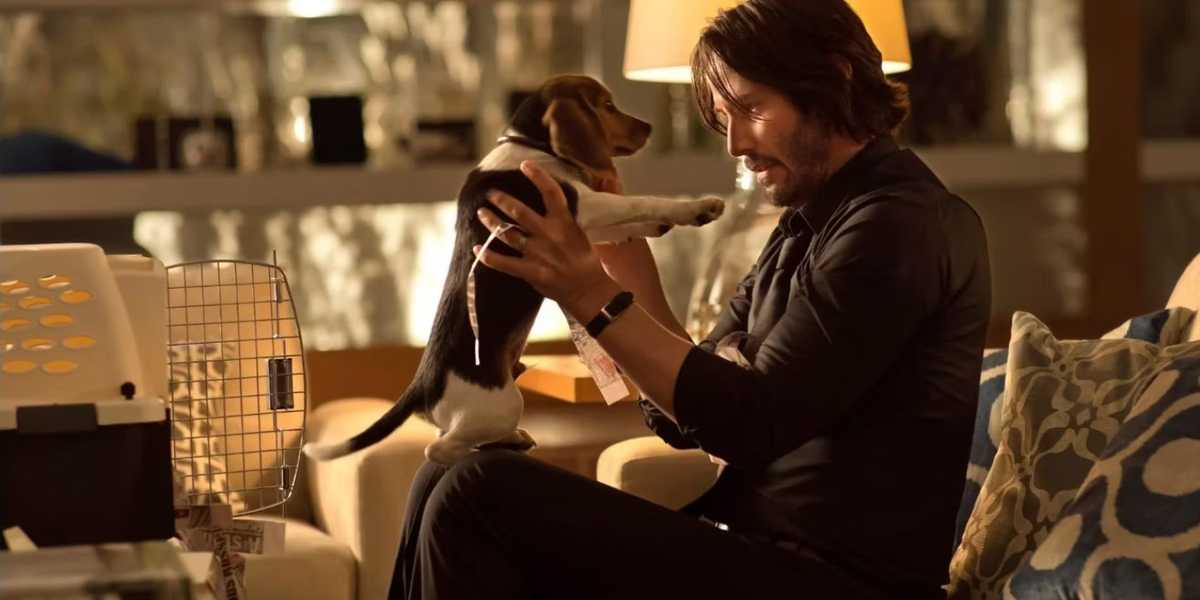 ‘ John Wick đang thay đổi cách trình diễn