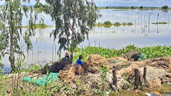 Mưu sinh đầu mùa nước nổi