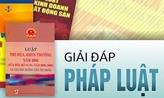 Gây tai nạn giao thông đã bồi thường, có bị xử lý hình sự không?