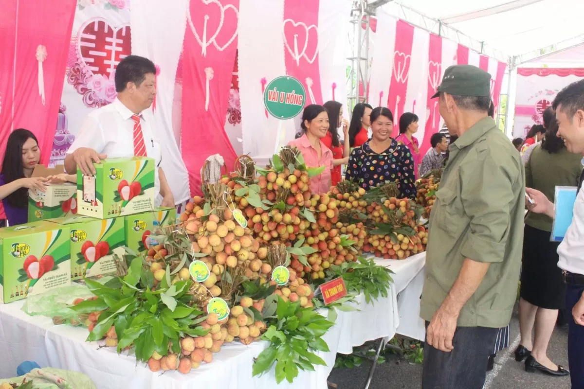 Hải Dương lan tỏa Cuộc vận động 'Người Việt Nam ưu tiên dùng hàng Việt Nam'