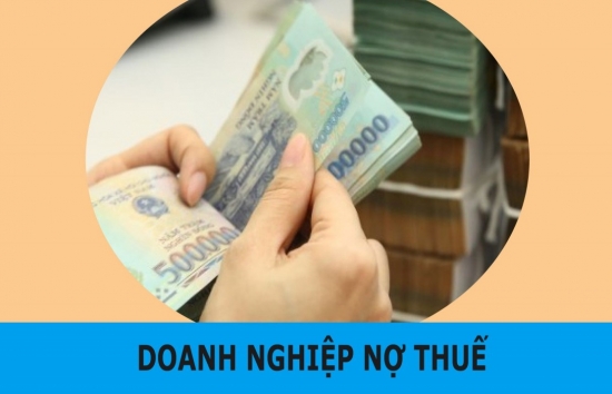 Trường Đại học Hà Hoa Tiên nợ thuế hơn 50 tỷ đồng