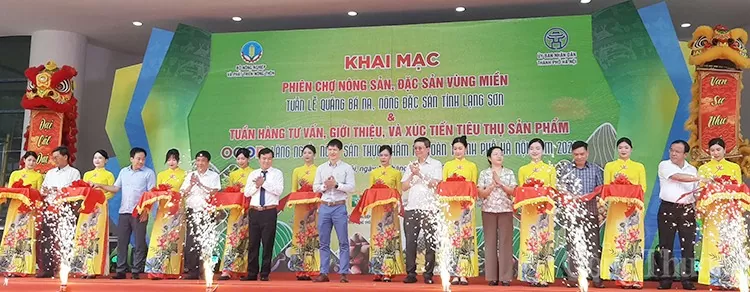 Quảng bá na Chi Lăng, nông đặc sản tỉnh Lạng Sơn năm 2024 tại Hà Nội