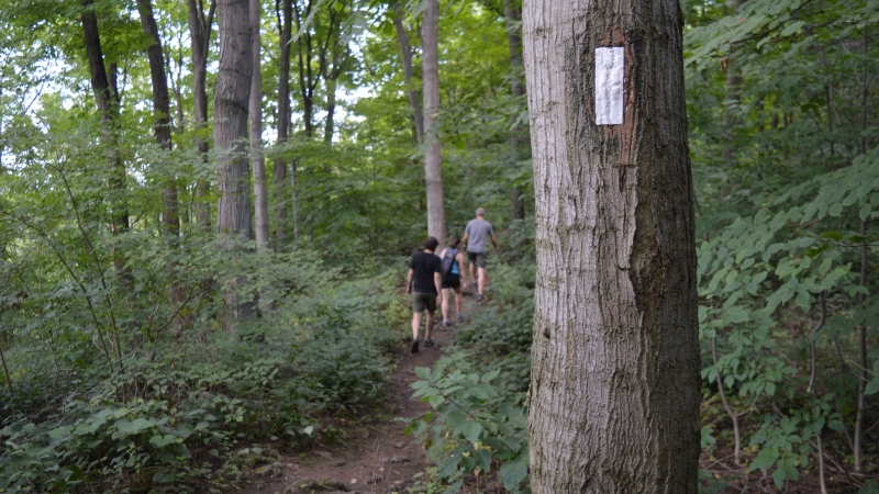 Ontario hikers will be able to camp overnight along Bruce Trail by 2030