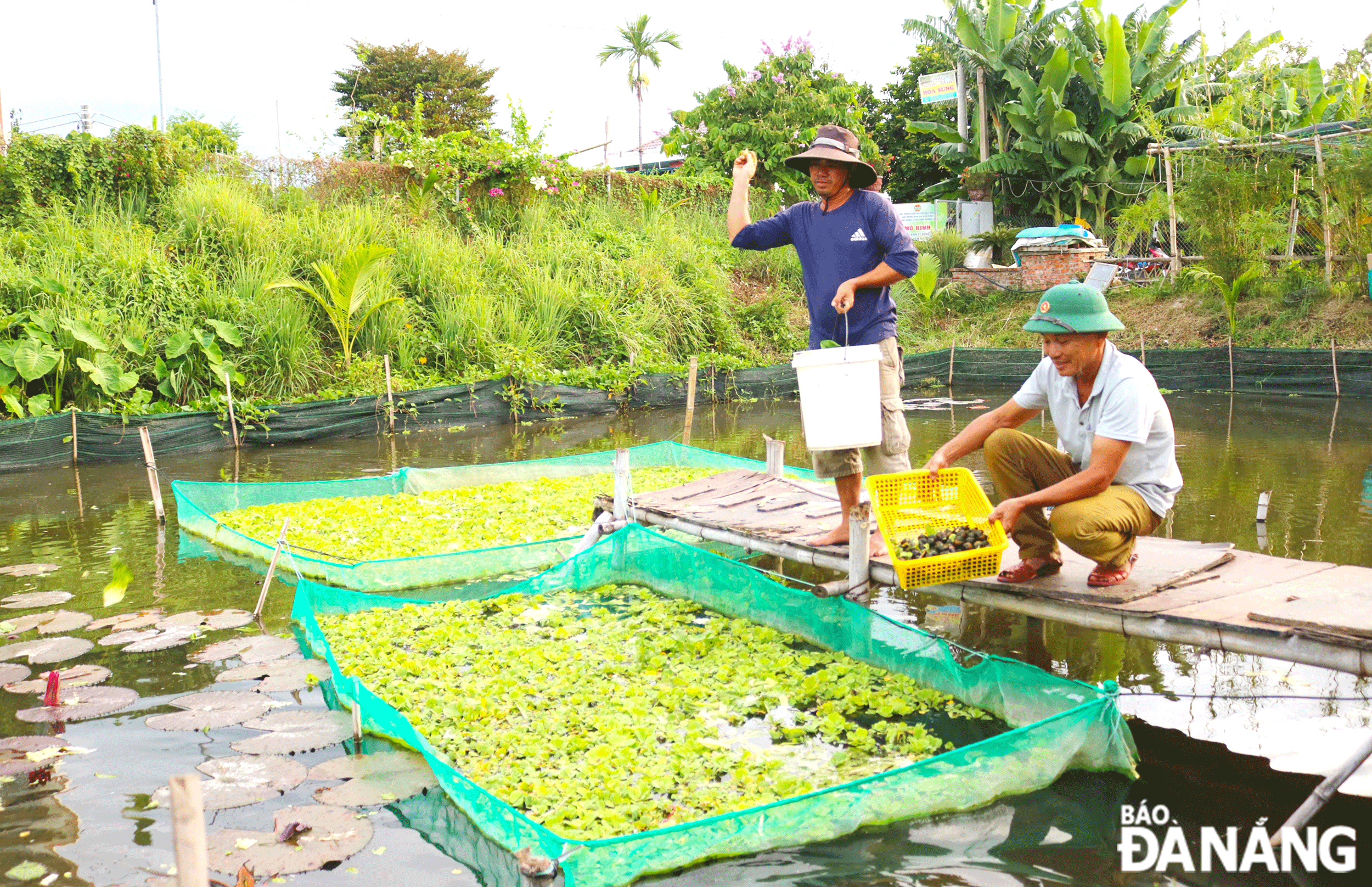 Quỹ "Hỗ trợ nông dân" tạo động lực giúp nông dân phát triển kinh tế