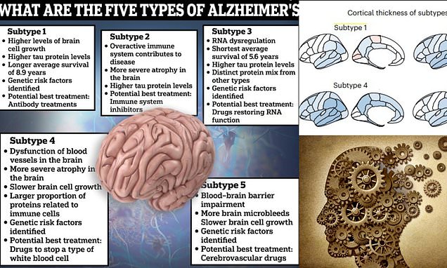 Các nhà khoa học phát hiện ra có NĂM loại bệnh Alzheimer và hy vọng bước đột phá có thể giúp chữa khỏi bệnh