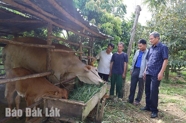 Nghĩa tình cựu chiến binh