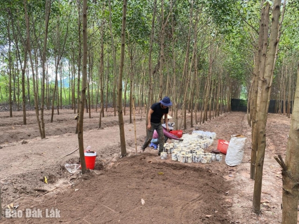 Điều chỉnh Quy chế quản lý các nhiệm vụ khoa học và công nghệ