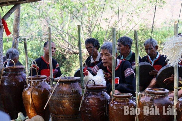 Lễ cúng cầu mưa và cầu mùa của người Êđê tại buôn Đắk Tuôr