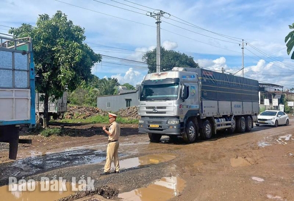 Huyện Krông Ana: Nhiều biện pháp bảo đảm an toàn giao thông