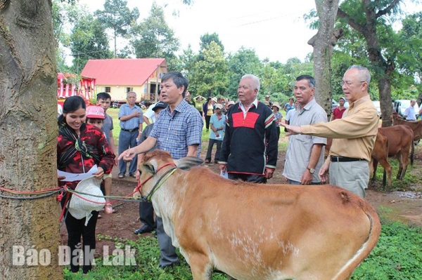 Hai mươi năm thắm tình kết nghĩa