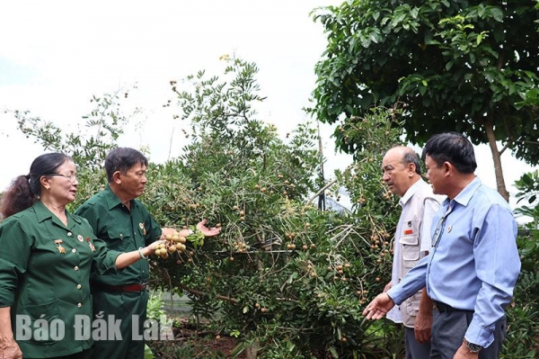 Lan tỏa phong trào học tập suốt đời