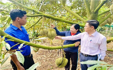 Phòng Giao dịch Ngân hàng Chính sách xã hội huyện Lắk (Đắk Lắk): Triển khai nhiều chương trình tín dụng hiệu quả, giúp đồng bào DTTS