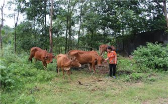 Thanh Hóa: Triển khai đồng bộ các chương trình, chính sách giảm nghèo vùng đồng bào DTTS