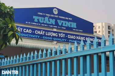 Vụ giám đốc là người bán hàng căng tin: Danh hão nhưng đi tù thật