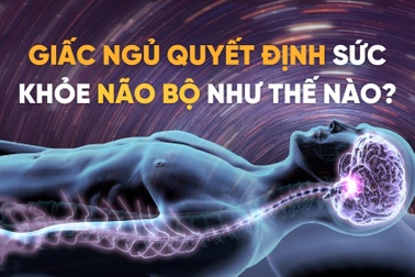 Giấc ngủ ảnh hưởng tới não bộ như thế nào?