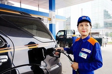 Petrolimex báo lãi đậm, tăng gần 4 lần