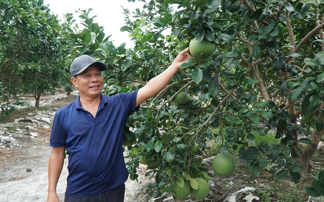 Tăng trưởng GRDP ngành nông nghiệp Thừa Thiên Huế cao nhất từ trước đến nay