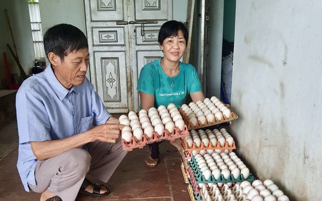 Nông dân Ba Vì dựng trang trại, ngày càng làm ăn lớn từ vốn ưu đãi Ngân hàng CSXH