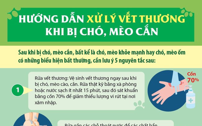 Số ca bệnh dại tăng cao, TP.HCM khẩn trương triển khai biện pháp phòng ngừa