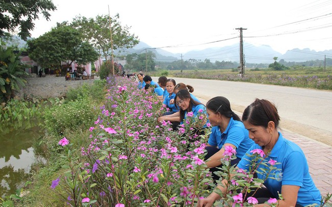 Đường hoa nông thôn mới, đường trồng cây cảnh quan ở một huyện của Tuyên Quang đẹp mê tơi thế này đây