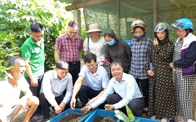 Hội Nông dân tỉnh Lào Cai tọa đàm về các kỹ thuật nuôi sâu canxi, trùn quế tại huyện Bảo Thắng