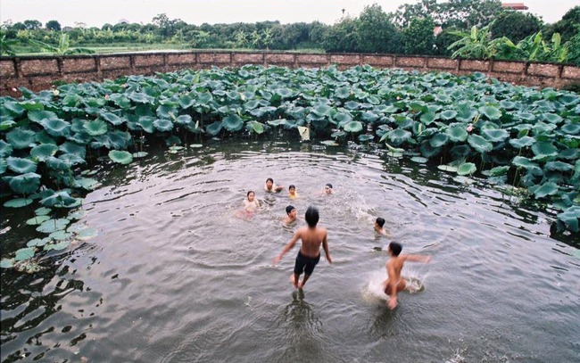 Kể chuyện làng: Ao xưa nơi chốn quê nhà