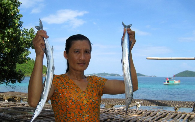 Quần đảo Nam Du của Kiên Giang la liệt các đảo to nhỏ, hòn đảo lớn nhất, sao đảo này mang tên Củ Tron?