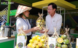 Cam sành Bình Dương, rau rừng Tây Ninh cùng nhiều sản phẩm nông nghiệp công nghệ cao khắp tỉnh thành hội tụ về TP.HCM