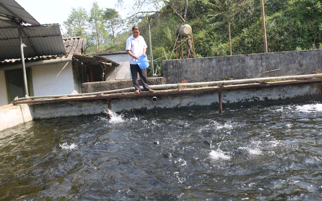 Hội Nông dân thị xã Sa Pa đẩy mạnh phong trào nông dân sản xuất - kinh doanh giỏi