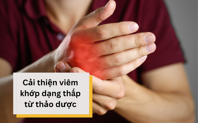 Sưng đau, cứng khớp do viêm khớp dạng thấp và giải pháp hỗ trợ từ Hoàng Thấp Linh