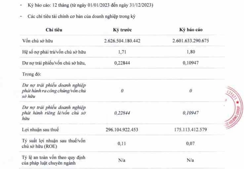 Flamingo Holding Group báo lãi 175 tỷ đồng trong năm 2023