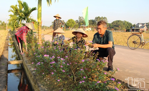 Người bí thư chi bộ “nặng” việc làng