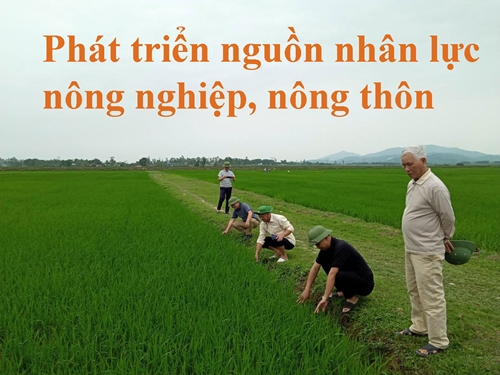 Phát triển nguồn nhân lực nông nghiệp, nông thôn