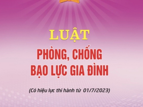 Ban hành Kế hoạch triển khai thi hành Luật Phòng, chống bạo lực gia đình