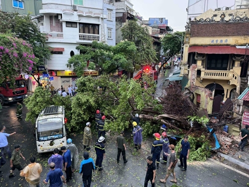 Siêu bão gây mưa lớn ở Hà Nội, nhiều cây gãy đổ, 1 người chết