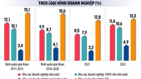 Nghịch lý trong phát triển doanh nghiệp tư nhân