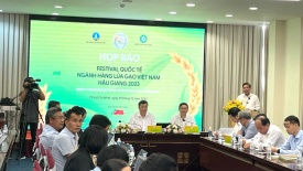 Lần đầu tiên tổ chức Festival Quốc tế hàng lúa gạo tại Việt Nam