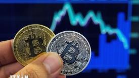 Bitcoin mất mốc 50.000 USD/BTC, rơi xuống mức thấp nhất kể từ tháng 2/2024