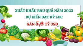 Xuất khẩu rau quả năm 2023 dự kiến đạt kỷ lục gần 5,6 tỷ USD