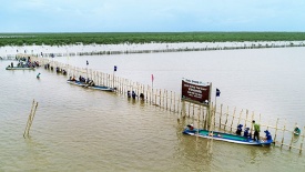 Vinamilk triển khai dự án tái sinh 25 hecta rừng ngập mặn tại Cà Mau