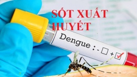 Hà Nội: Hai trường hợp tử vong do sốt xuất huyết